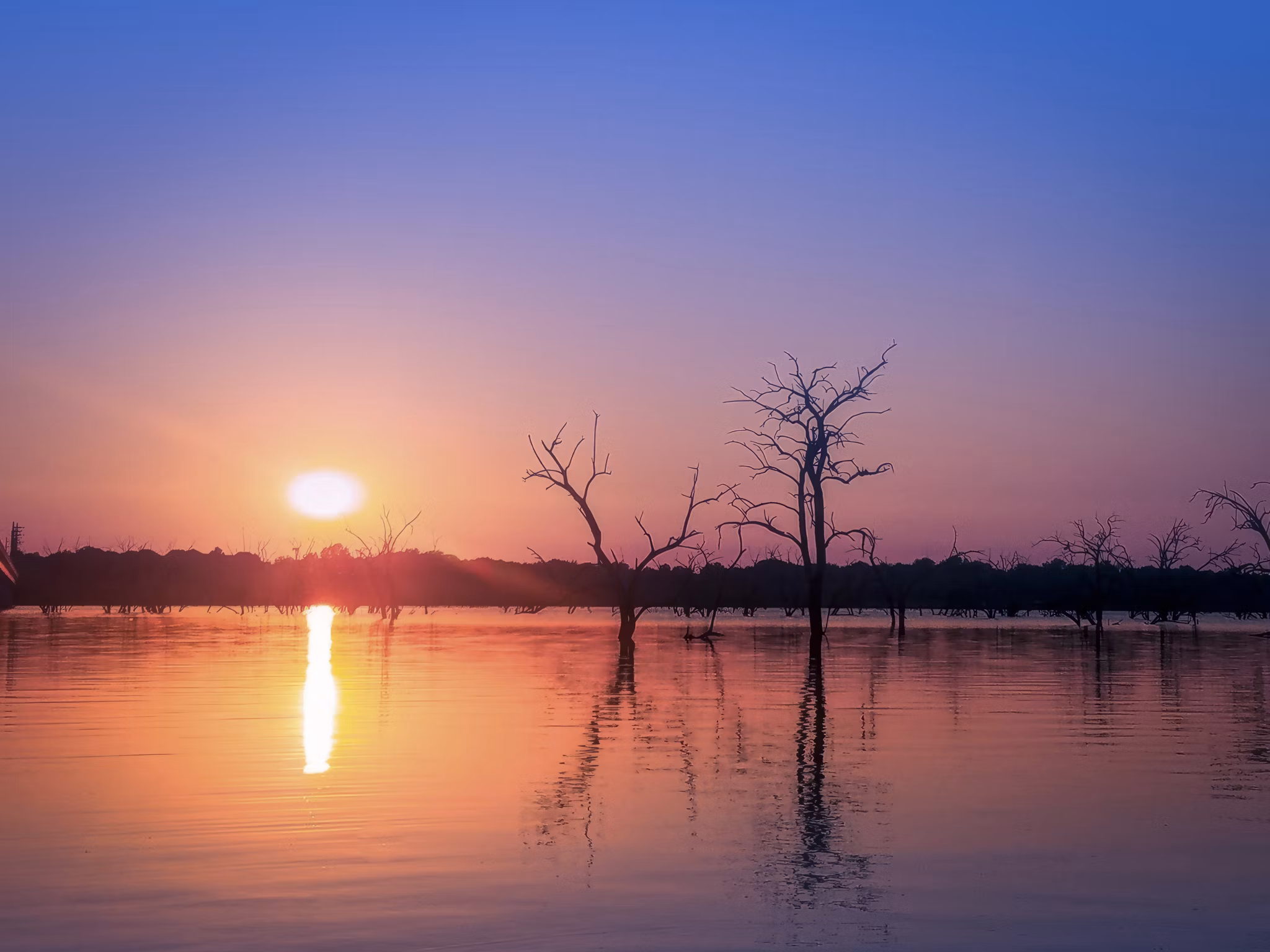 Sunset over calm water with silhouettes of trees in Garland/Northeast Garland, Texas. Colors blend from orange to blue.